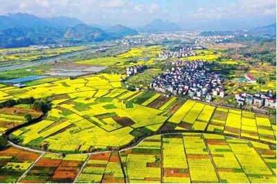 「千万工程」で農村の美しい「変身」が実現 浙江省