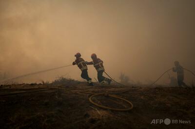 ポルトガル山火事で4人目の死者、スペインでは火災収束へ