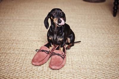 トッズ、ユーザー参加型ギャラリー「Dots of Life」をリニューアル