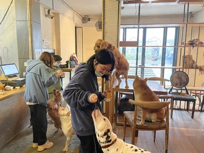 ペットブームの中国で「預かりビジネス」も増加 1日の預かり料が約3000円