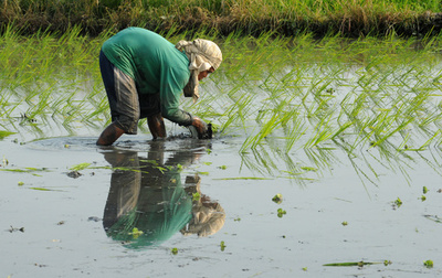 「腰痛」は世界で最も大きな健康問題、職業病の約3割
