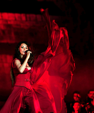 英歌手S・ブライトマンさん、宇宙ステーションへの旅行計画か