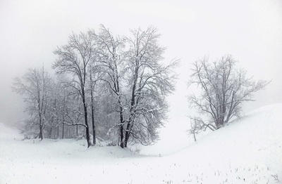 またもや悪天候で女子滑降が延期、アルペンスキーW杯