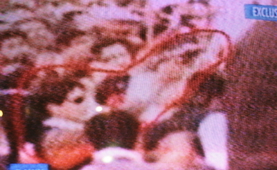 パキスタン政府、総選挙延期の可能性を示唆