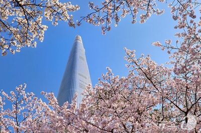 韓国ホテル業界、春シーズン商戦本格化…桜フェスや都心ピクニックで需要取り込み