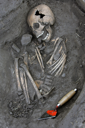 コロンビアで1500年前の古代人の骨が出土