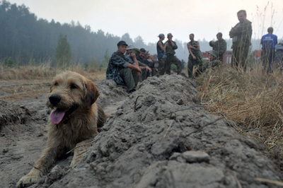 チェルノブイリ近くでも森林火災、放射性物質拡散の懸念も