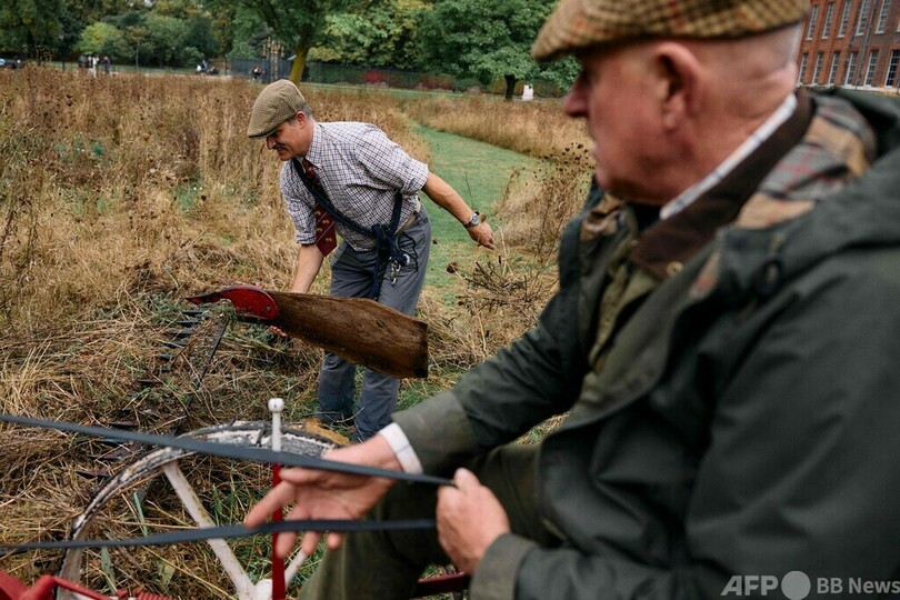 英ケンジントン宮殿の草刈りは馬にお任せ 持続可能な伝統手法