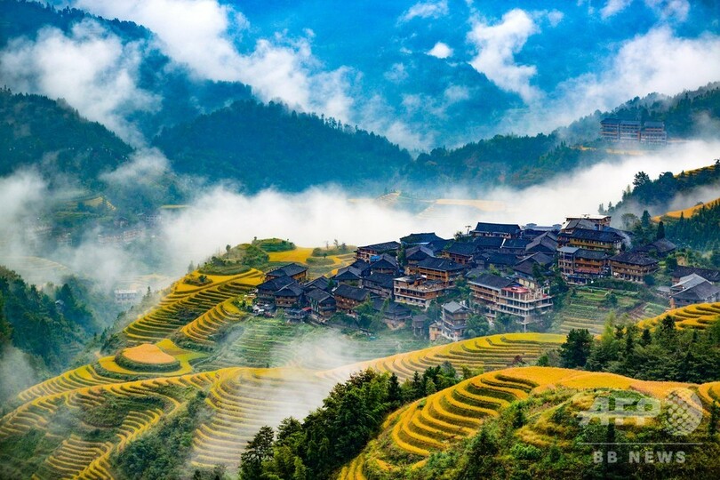 青空に黄金色の棚田 雲の組み合わせ 広西 龍勝棚田 写真4枚 国際ニュース Afpbb News