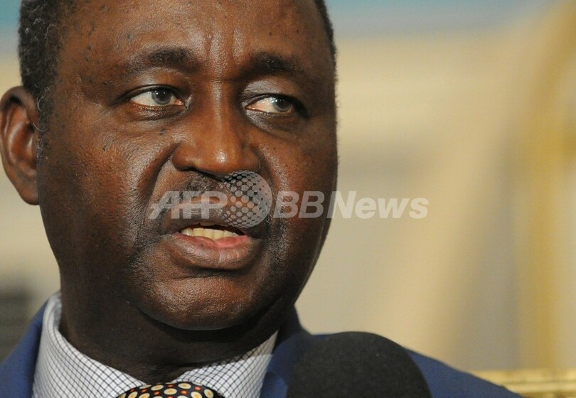 中央アフリカ、反政府勢力が首都制圧