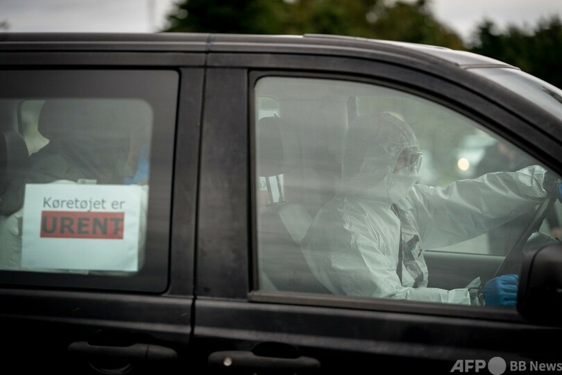 ミンク1500万匹超を殺処分へ 変異型コロナ検出で デンマーク