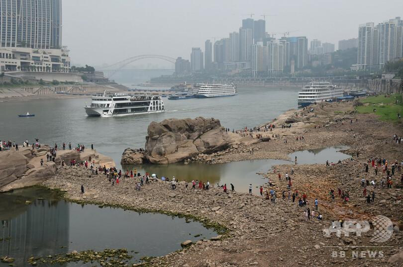 千年の「神亀」が姿を現す、重慶の長江の水流減少で