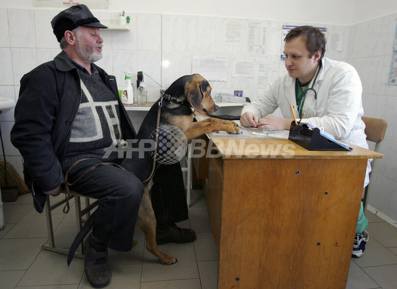 動物用救急車にサイレンの装備を禁ず スイス最高裁 写真1枚 国際ニュース Afpbb News