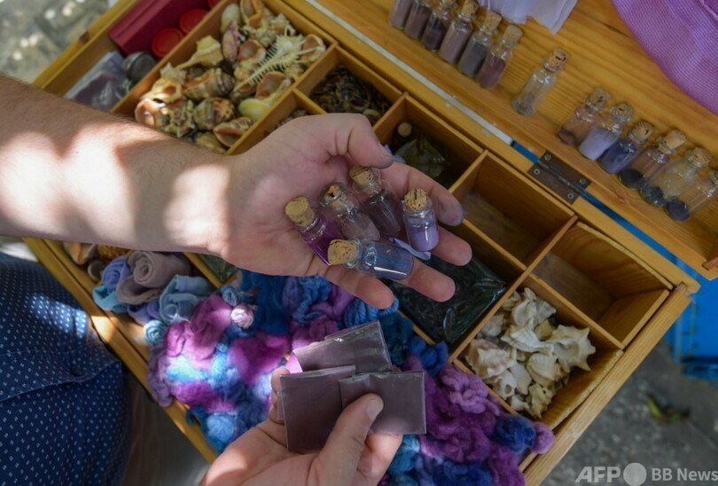 古代の「貝紫色」情熱で再現 チュニジア