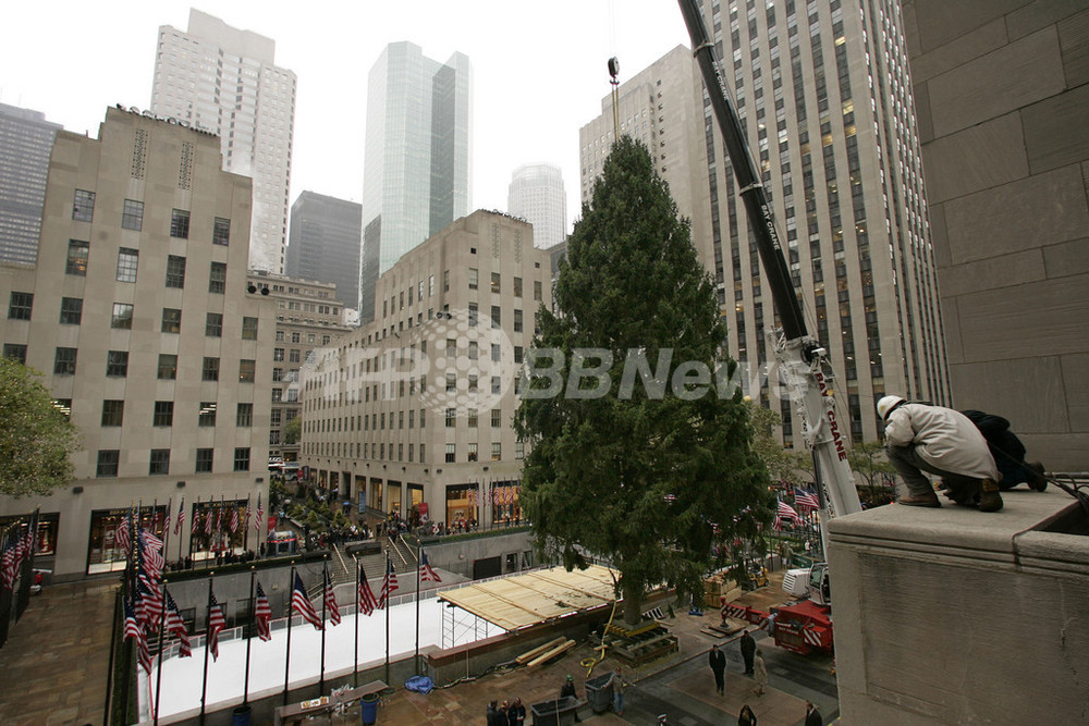 設置も一苦労、高さ25メートルのNY名物クリスマスツリー 写真8枚 国際