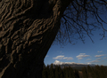 スロバキア・タトラ（Tatra）山脈にあるKrivan山（標高2494メートル）。(c)AFP/JOE KLAMAR