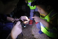 夜の上海植物園で遊ぶ小学生ら（2018年7月1日撮影）。(c)CNS/陳王宇