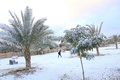 イラクの聖地カルバラにある雪の積もった公園（2020年2月11日撮影）。(c)Mohammed SAWAF / AFP