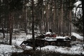 ロシアの侵攻を受けているウクライナ・ヤムピリ近くに放棄された戦車の残骸（2023年2月6日撮影）。(c)YASUYOSHI CHIBA / AFP