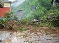 重慶市酉陽トゥチャ族ミャオ族自治県銅鼓鎮で、流出した土砂で埋まった道路（2020年6月13日撮影）。(c)Xinhua News
