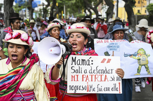 少女・女性の行方不明者、4か月で3406人 ペルー