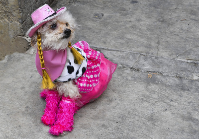 【写真特集】世界のどうぶつパラダイス2019