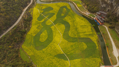 「春色」の龍 貴州・安順