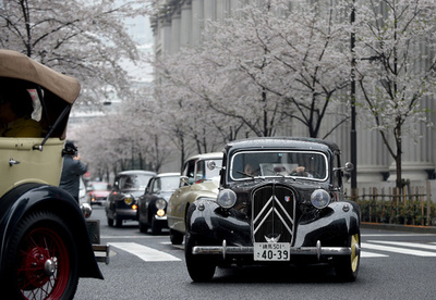 桜とクラシックカーの共演、都内でイベント