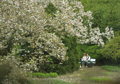 長雨後の晴れ間を楽しむ人々、ドイツ