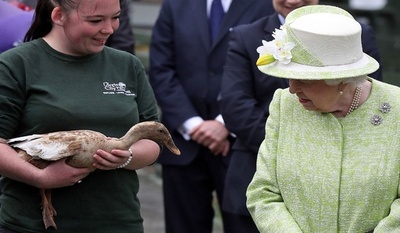 エリザベス英女王、エディンバラの農場でカモとご対面