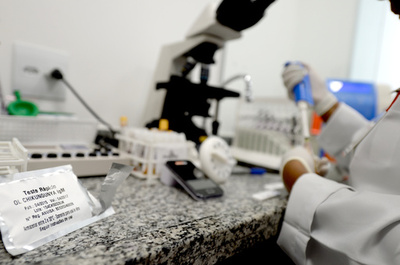 リオ五輪参加者のジカ感染報告はゼロ、WHO