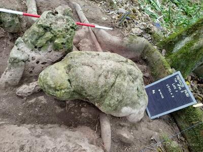 約3000年前のマヤ文明の都市遺跡発見 グアテマラ