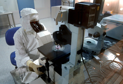 免疫細胞を「再教育」、新療法で白血病患者88％の症状消失