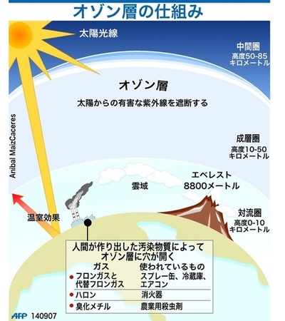 オゾン層の仕組みを示した図