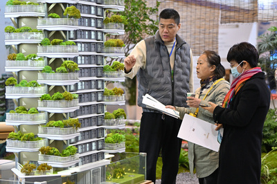 中国経済の行方、専門家の見解