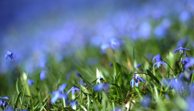 ハノーバーに訪れた春の兆し