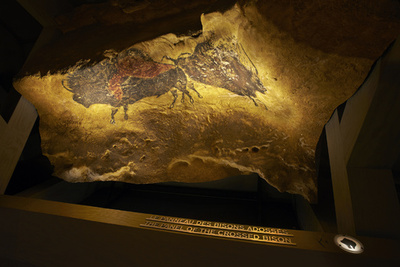 ラスコー洞窟壁画を原寸大で再現、パリで展示会開催へ
