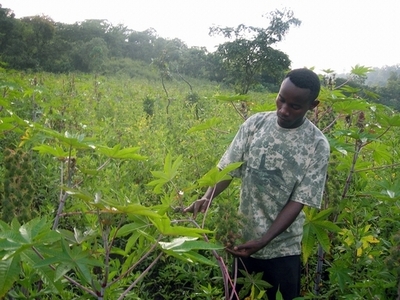 アフリカで農地を買収する中国を批判、独首相個人代表