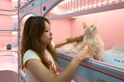 中国のペットサービス経済が急成長