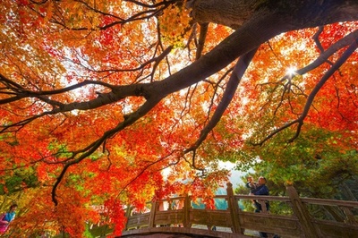 中国・江西省盧山の錦秋