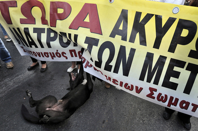 IMF、ギリシャへの融資第1弾を実施