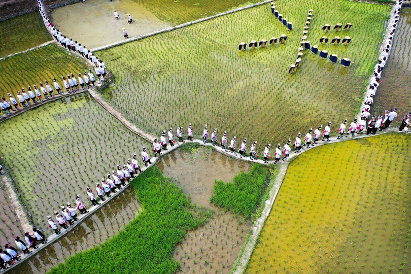 トン族の村で1万人大合唱 中国・貴州省 写真7枚 国際ニュース：AFPBB News