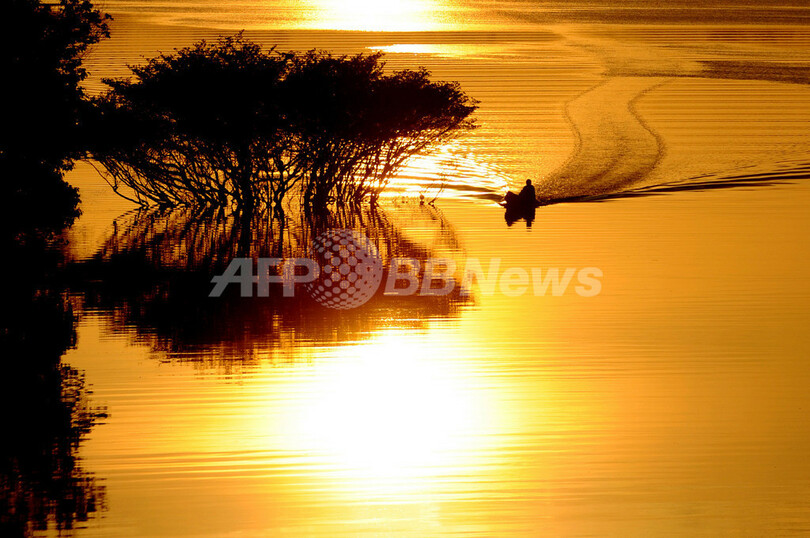 ちょこっと旅気分 ブラジル ネグロ川 写真枚 国際ニュース Afpbb News