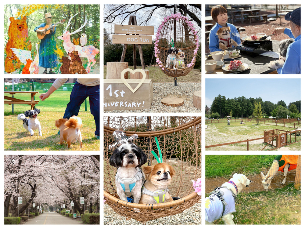 牧場体験を楽しもう！那須千本松牧場の魅力