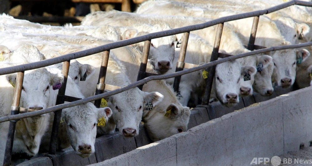 温室効果ガス排出量、畜産・酪農が独経済活動上回る