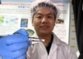 集積光量子チップを手に取る北京大学博士課程で、論文第一著者の賈新宇（か・しんう）さん（2025年2月18日撮影）。(c)Xinhua News