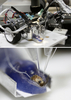 東京大学（Tokyo University）先端科学技術センター（Research Centre for Advanced Science and Technology、RCAST）の神崎研究室が製作した「昆虫脳操縦型ロボット」の全体（上）と、このロボットに搭載された切断されたガの頭部（下、2009年5月29日撮影）。(c)AFP/Yoshikazu TSUNO