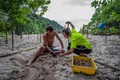 マレーシア・レダン島でウミガメの卵を調べるボランティアら（2020年6月27日撮影）。(c)Mohd RASFAN / AFP