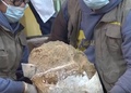 考古学者が頭蓋骨の化石を掘り出した（2022年12月27日提供）。(c)CGTN Japanese