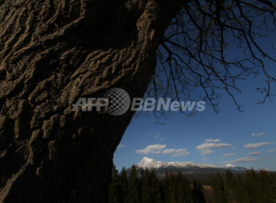 スロバキア タトラ山脈の風景 写真12枚 ファッション ニュースならmode Press Powered By Afpbb News